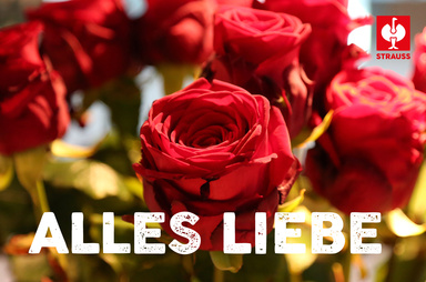 Gutscheinmotiv im Design Alles Liebe Rosen